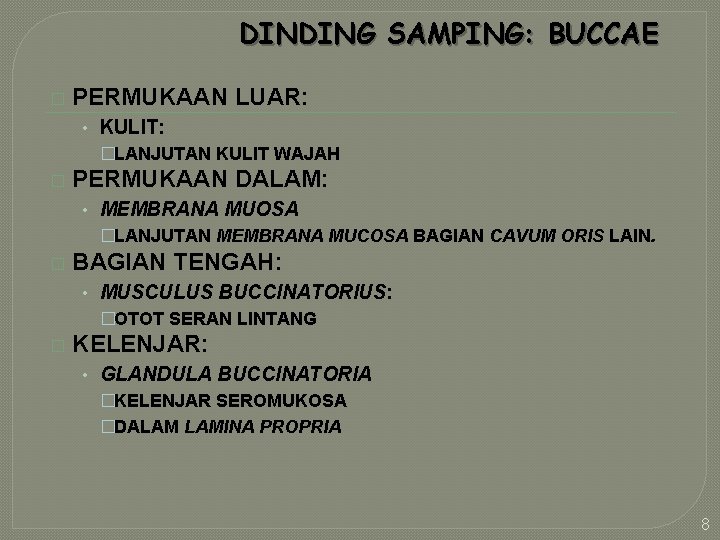 DINDING SAMPING: BUCCAE � PERMUKAAN LUAR: • KULIT: �LANJUTAN KULIT WAJAH � PERMUKAAN DALAM: