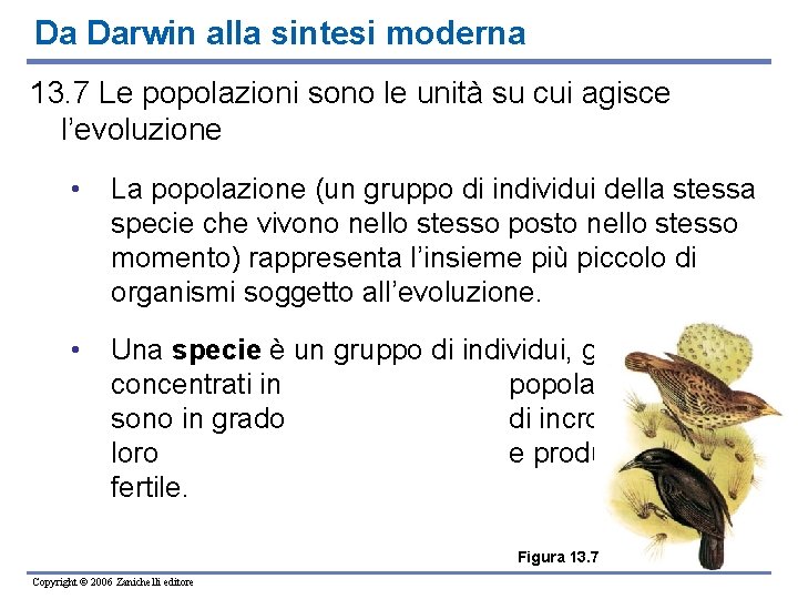 Da Darwin alla sintesi moderna 13. 7 Le popolazioni sono le unità su cui