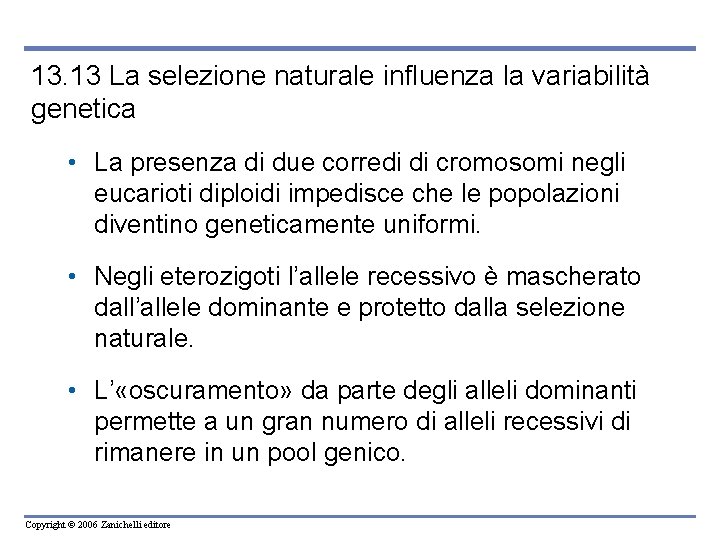 13. 13 La selezione naturale influenza la variabilità genetica • La presenza di due