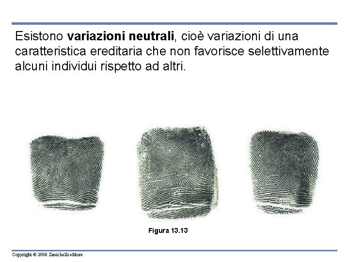 Esistono variazioni neutrali, cioè variazioni di una caratteristica ereditaria che non favorisce selettivamente alcuni