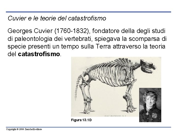 Cuvier e le teorie del catastrofismo Georges Cuvier (1760 -1832), fondatore della degli studi