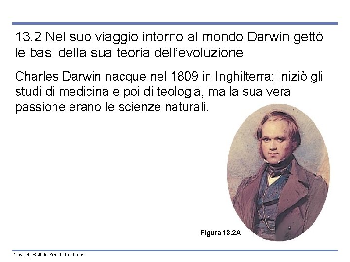 13. 2 Nel suo viaggio intorno al mondo Darwin gettò le basi della sua