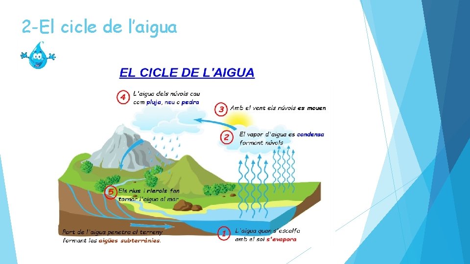 2 -El cicle de l’aigua 2 -El cicle de l’aigua