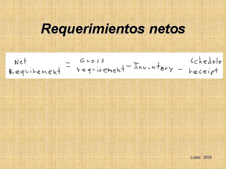 Requerimientos netos Lopez 2009 