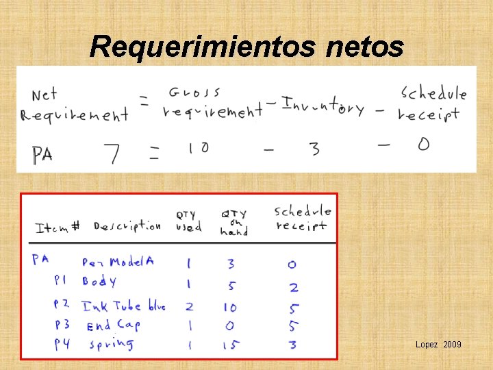 Requerimientos netos Lopez 2009 