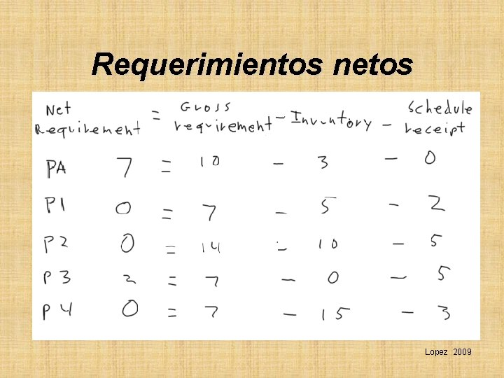 Requerimientos netos Lopez 2009 