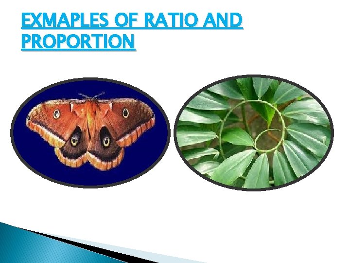 EXMAPLES OF RATIO AND PROPORTION 