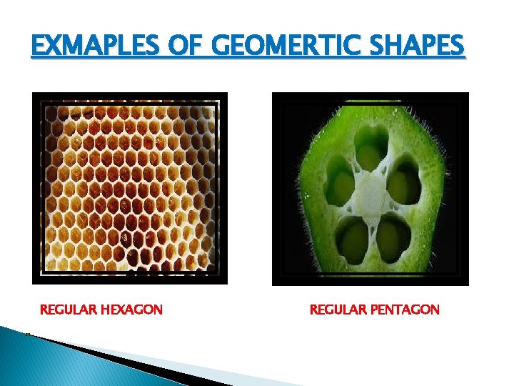 EXMAPLES OF GEOMERTIC SHAPES REGULAR HEXAGON REGULAR PENTAGON 