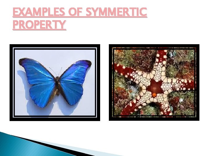 EXAMPLES OF SYMMERTIC PROPERTY 