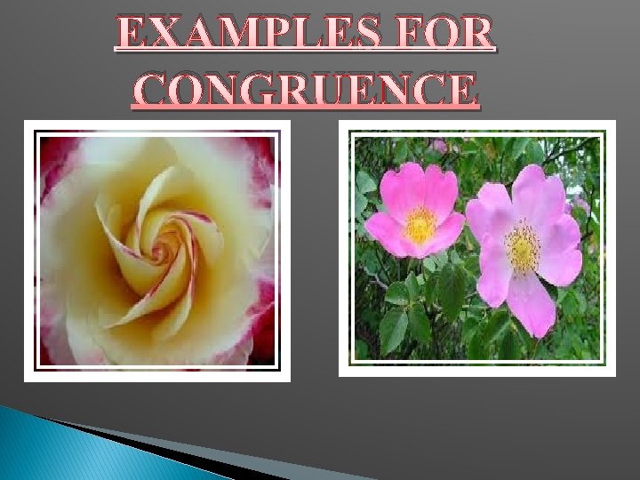 EXAMPLES FOR CONGRUENCE 