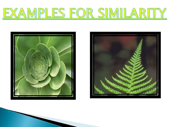 EXAMPLES FOR SIMILARITY 