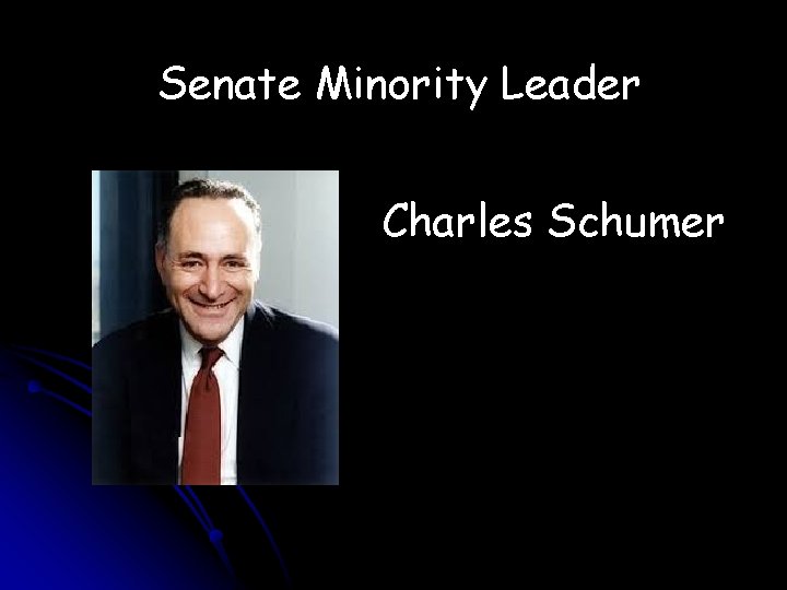 Senate Minority Leader Charles Schumer 