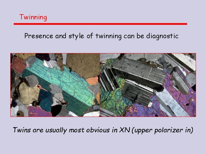 Twinning Presence and style of twinning can be diagnostic Twins are usually most obvious