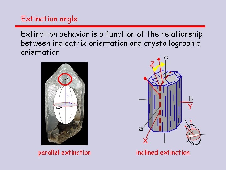 Extinction angle Extinction behavior is a function of the relationship between indicatrix orientation and