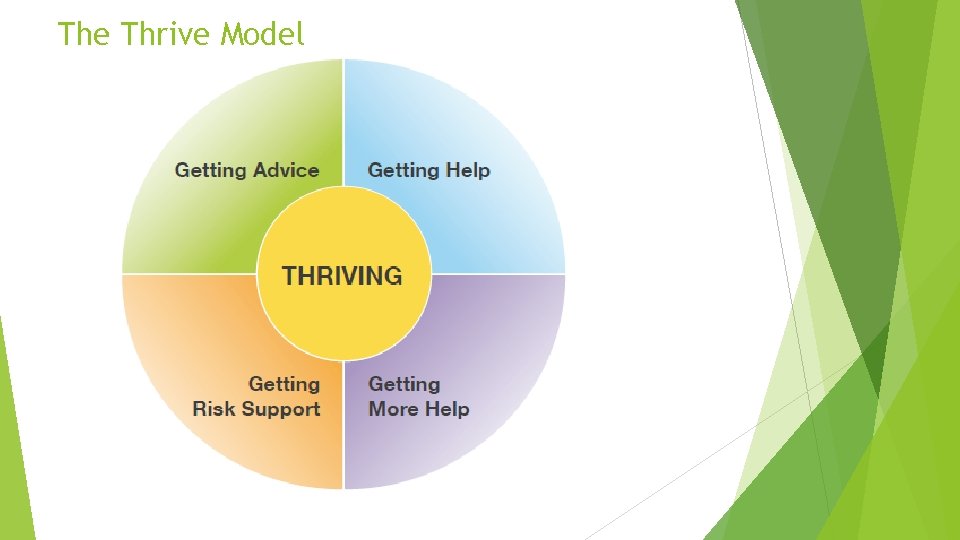 The Thrive Model 