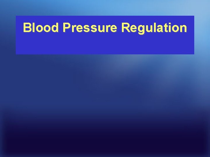 Blood Pressure Regulation 