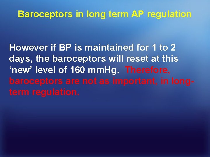 Baroceptors in long term AP regulation However if BP is maintained for 1 to