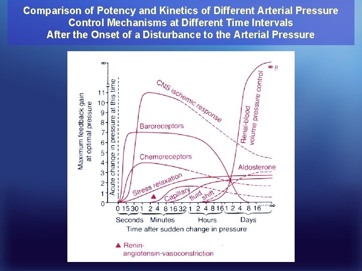 Comparison of Potency and Kinetics of Different Arterial Pressure Control Mechanisms at Different Time