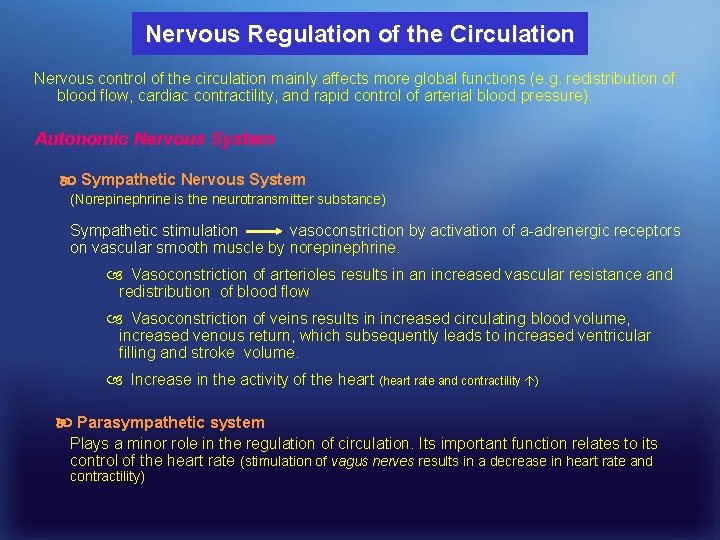 Nervous Regulation of the Circulation Nervous control of the circulation mainly affects more global