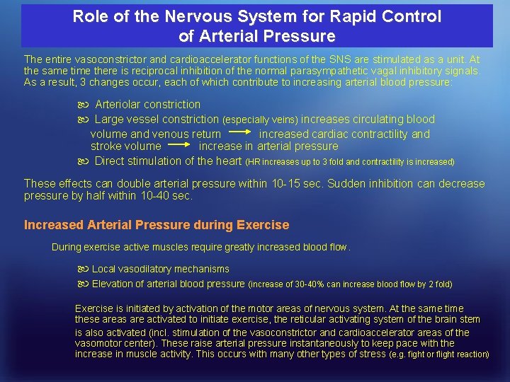 Role of the Nervous System for Rapid Control of Arterial Pressure The entire vasoconstrictor