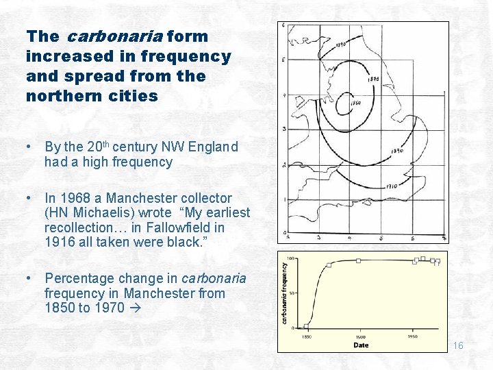 The carbonaria form increased in frequency and spread from the northern cities • By