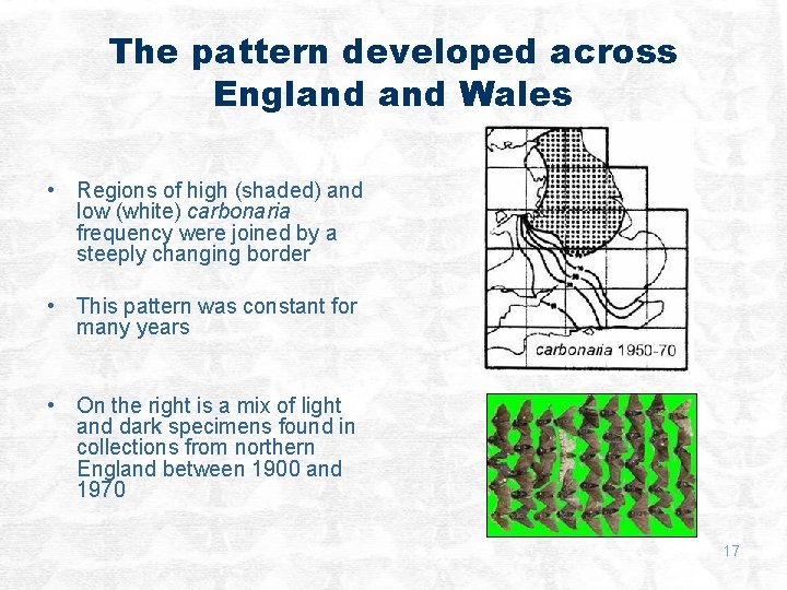The pattern developed across England Wales • Regions of high (shaded) and low (white)