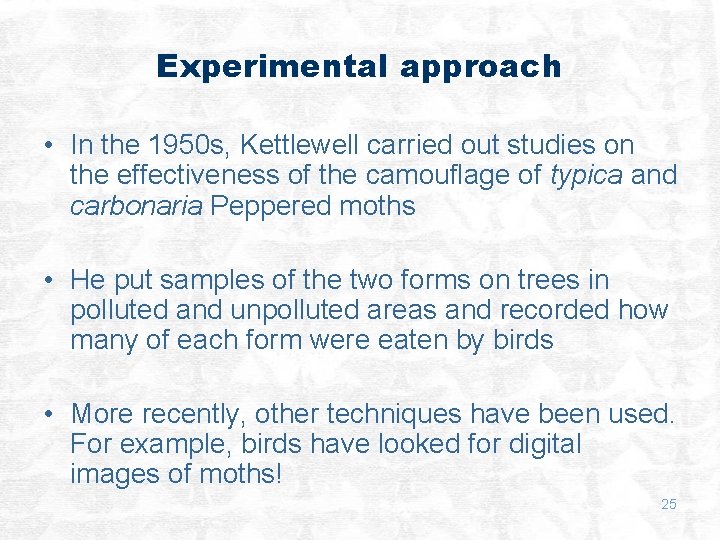 Experimental approach • In the 1950 s, Kettlewell carried out studies on the effectiveness