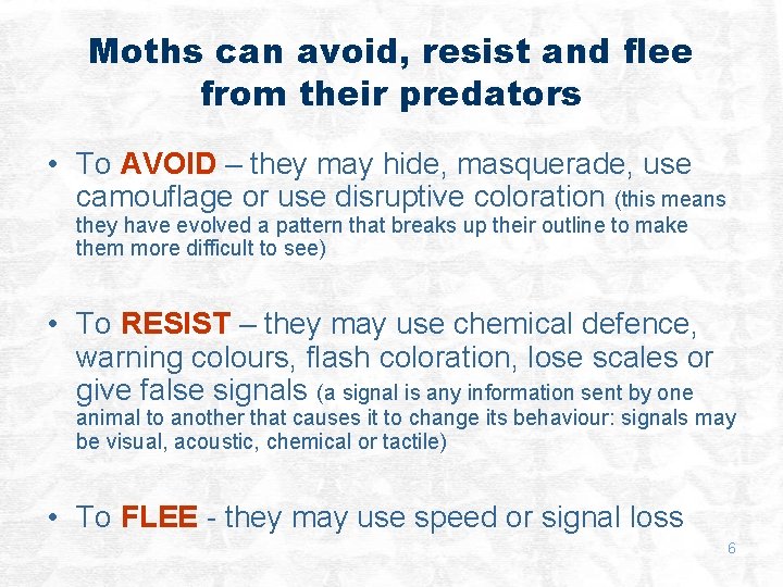 Moths can avoid, resist and flee from their predators • To AVOID – they