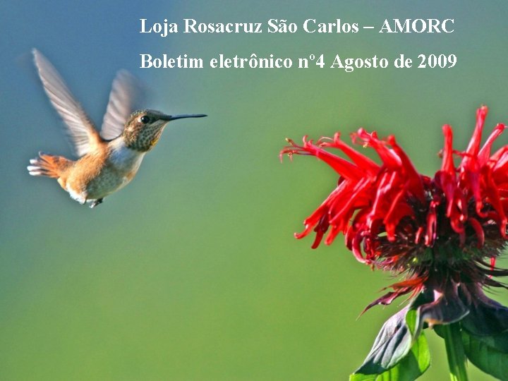 Loja Rosacruz São Carlos – AMORC Boletim eletrônico nº 4 Agosto de 2009 