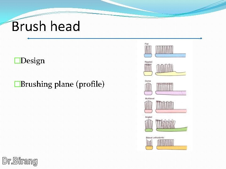 Brush head �Design �Brushing plane (profile) 