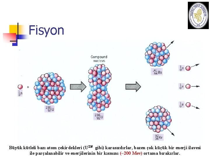 Fisyon + Enerji Büyük kütleli bazı atom çekirdekleri (U 235 gibi) karasızdırlar, bazen çok