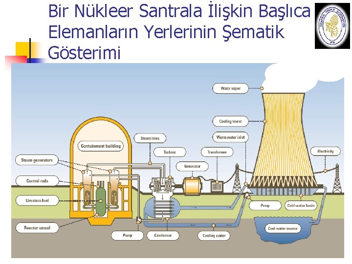 Bir Nükleer Santrala İlişkin Başlıca Elemanların Yerlerinin Şematik Gösterimi 