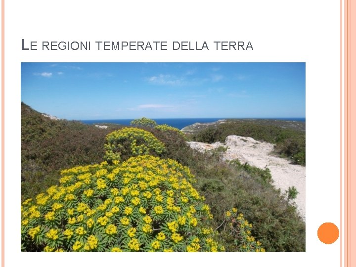 LE REGIONI TEMPERATE DELLA TERRA 