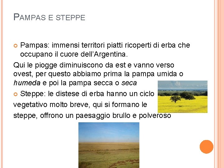 PAMPAS E STEPPE Pampas: immensi territori piatti ricoperti di erba che occupano il cuore