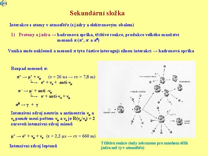 Sekundární složka Interakce s atomy v atmosféře (s jádry a elektronovým obalem) 1) Protony