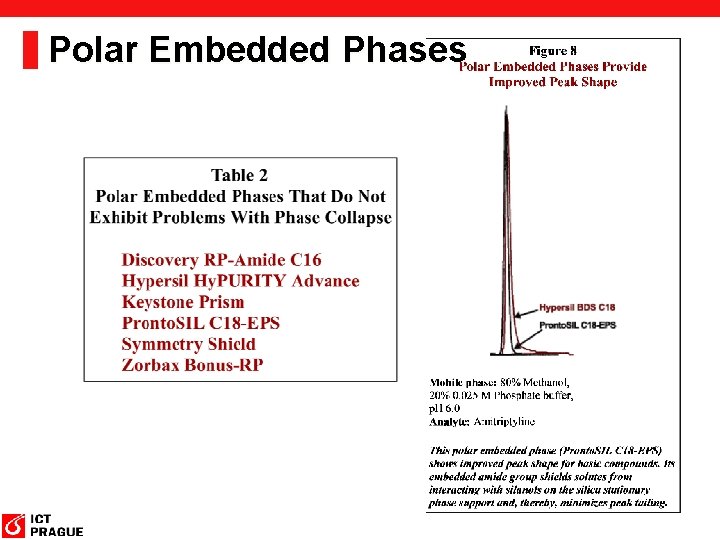 Polar Embedded Phases 