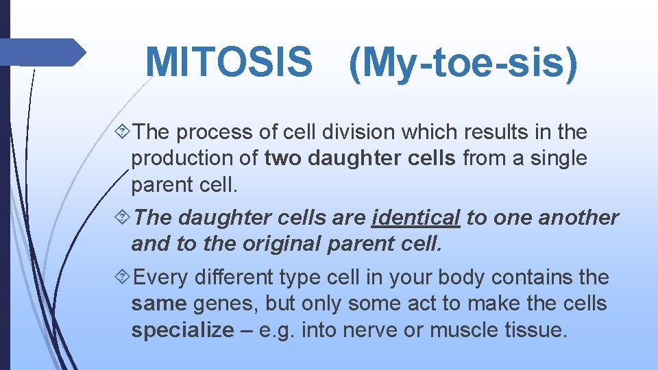 MITOSIS (My-toe-sis) The process of cell division which results in the production of two