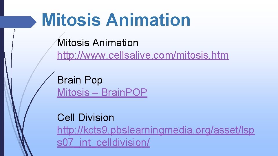 Mitosis Animation http: //www. cellsalive. com/mitosis. htm Brain Pop Mitosis – Brain. POP Cell