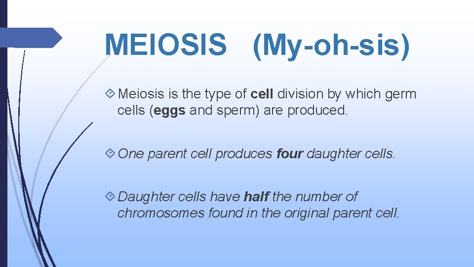 MEIOSIS (My-oh-sis) Meiosis is the type of cell division by which germ cells (eggs