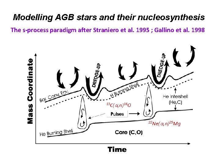 Modelling AGB stars and their nucleosynthesis The s-process paradigm after Straniero et al. 1995