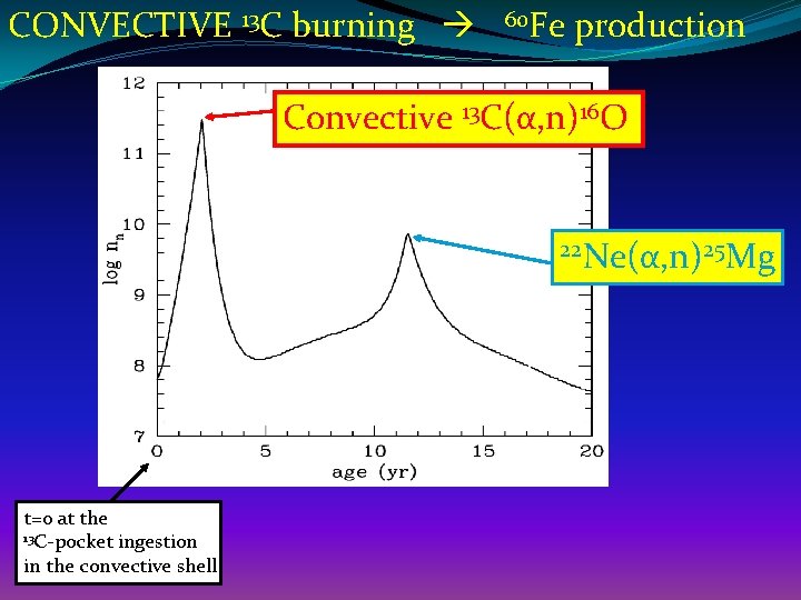 CONVECTIVE 13 C burning 60 Fe production Convective 13 C(α, n)16 O 22 Ne(α,