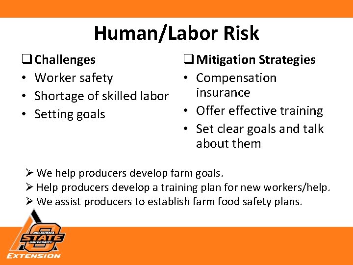 Human/Labor Risk q Mitigation Strategies q Challenges • Compensation • Worker safety insurance •