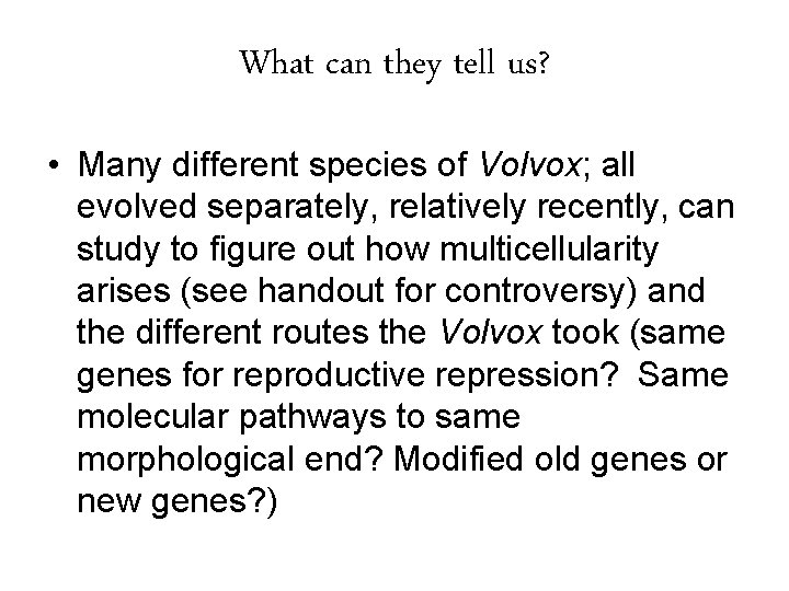 What can they tell us? • Many different species of Volvox; all evolved separately,