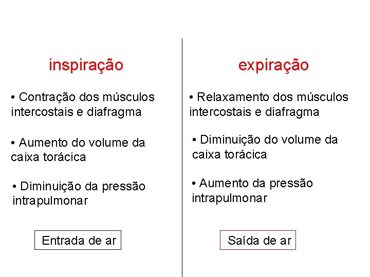 inspiração expiração • Contração dos músculos intercostais e diafragma • Relaxamento dos músculos intercostais