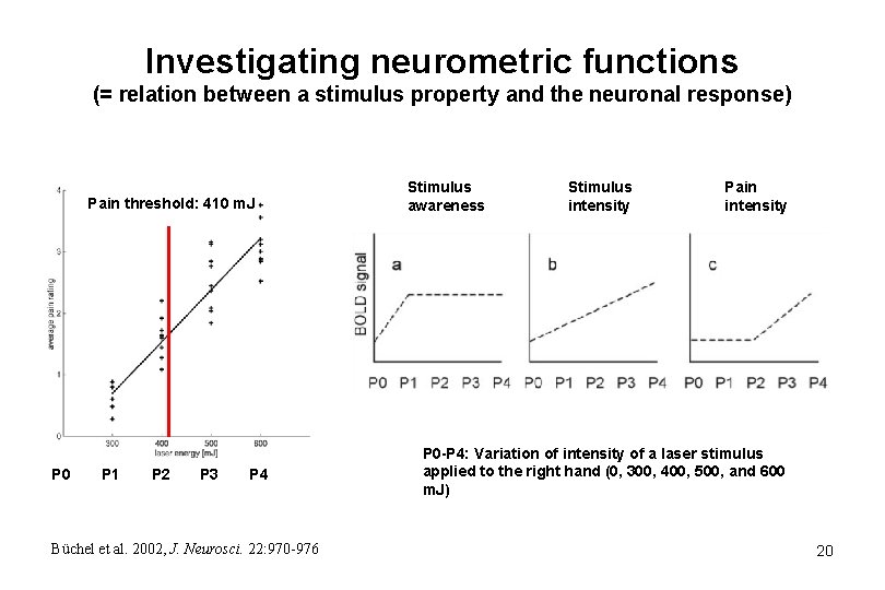 Investigating neurometric functions (= relation between a stimulus property and the neuronal response) Pain