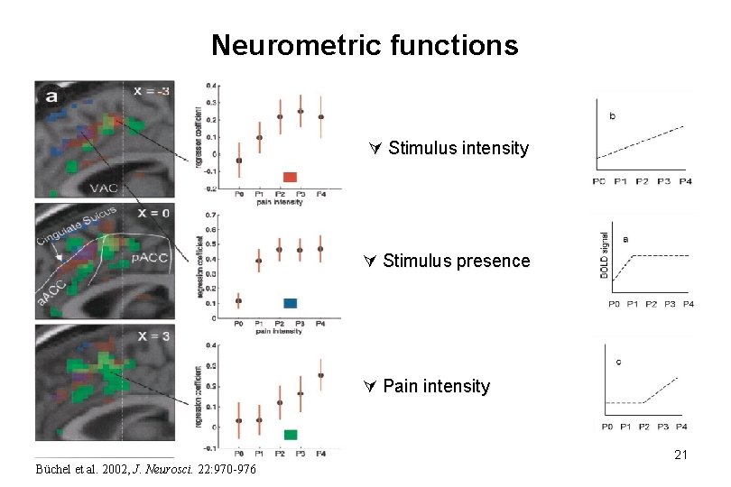 Neurometric functions Stimulus intensity Stimulus presence Pain intensity 21 Büchel et al. 2002, J.