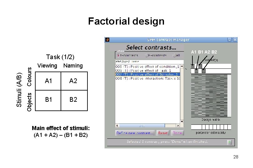 Factorial design Objects Colours Stimuli (A/B) Task (1/2) A 1 B 1 A 2