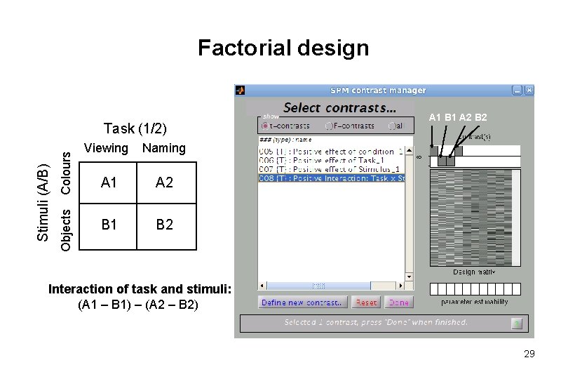 Factorial design Objects Colours Stimuli (A/B) Task (1/2) A 1 B 1 A 2