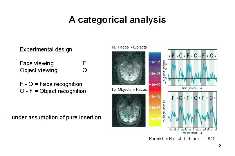 A categorical analysis Experimental design Face viewing Object viewing F O F - O