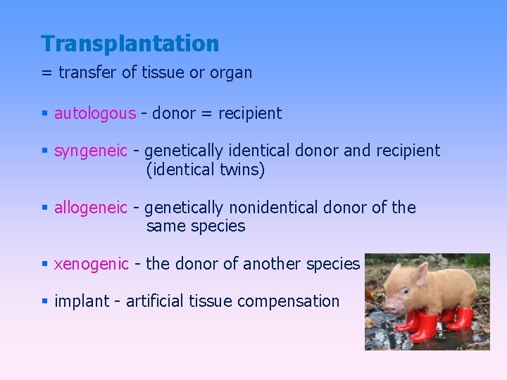 Transplantation = transfer of tissue or organ autologous - donor = recipient syngeneic -